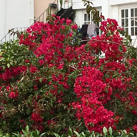 Flores Lisboa Extérieur photo